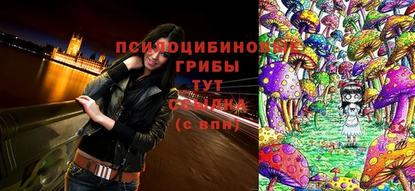 прущая мука Каменногорск