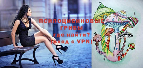 прущая мука Каменногорск