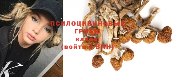 МДПВ Каменск-Шахтинский