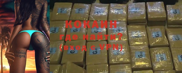 стаф Касимов
