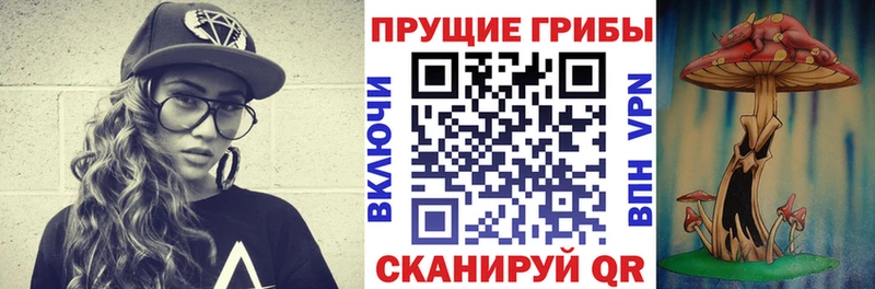 Галлюциногенные грибы Cubensis  Купить где  Советская Гавань 